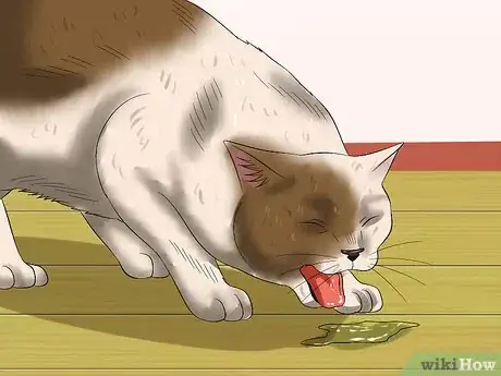 Image titled Diagnose Feline Retinal Disease Step 4