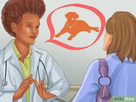 Image titled Diagnose Endocrine Disorders in Senior Dogs Step 8