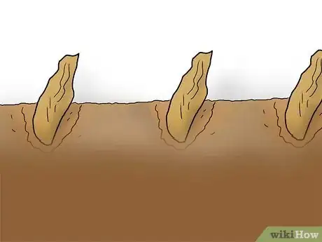 Image titled Plant Plumeria Seeds Step 6