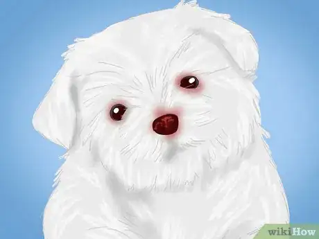 Image titled Handle Winter Allergies Step 3