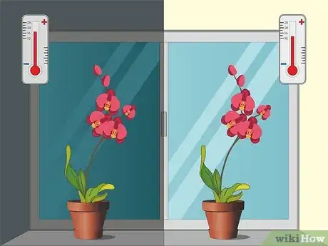 Image titled Care for Orchids Step 4