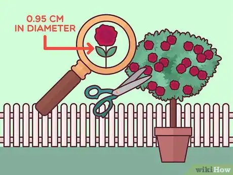 Image titled Prune Tree Roses Step 12