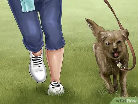 Image titled Know if You Are Ready for a Dog Step 20