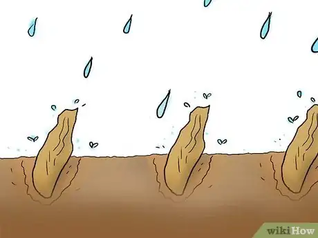 Image titled Plant Plumeria Seeds Step 8