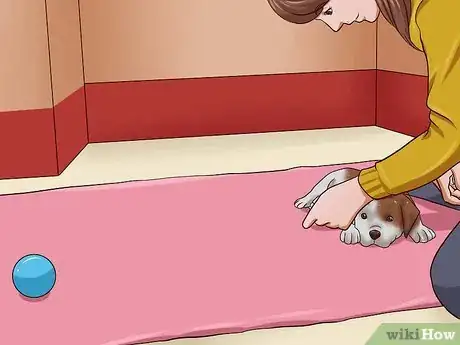 Image titled Teach Your Puppy to Lie Down Step 11