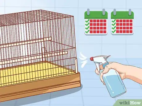 Image titled Treat Mites in Chinchillas Step 7