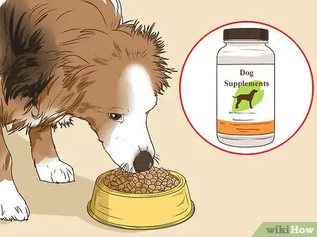 Image titled Manage Cognitive Dysfunction in Senior Dogs Step 7