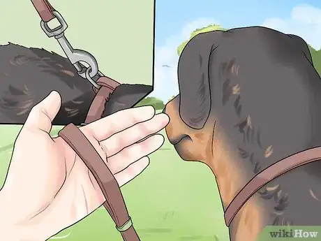 Image titled Approach an Injured Animal Step 9