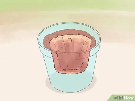 Image titled Grow Roses in Containers Step 8