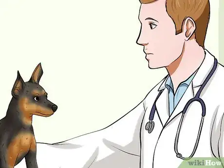 Image titled Solve Digestive Problems With Small Dogs Step 12