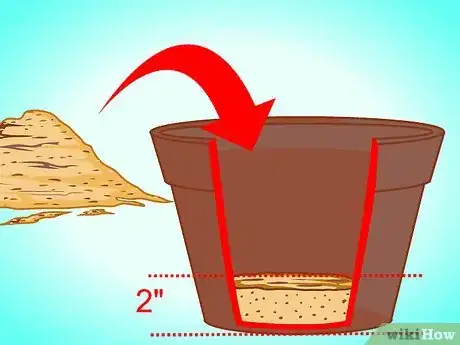 Image titled Transplant a Jade Plant Step 6