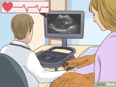 Image titled Diagnose Cardiac Disease in Senior Dogs Step 9