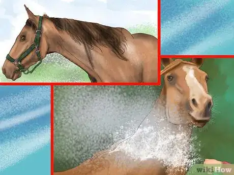 Image titled Diagnose the Cause of Fatigue in Horses Step 2