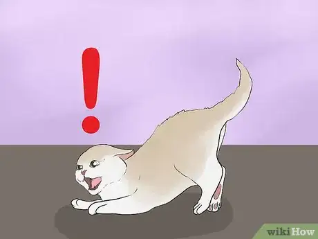 Image titled Calm an Aggressive Cat Step 12