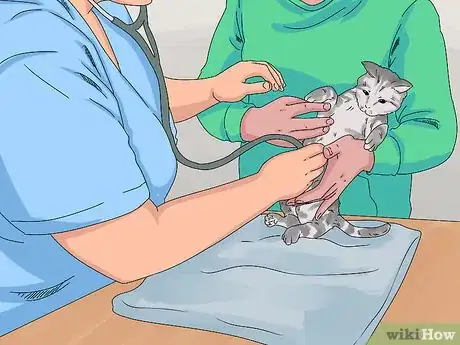 Image titled Handle Mothball Poisoning in Cats Step 8