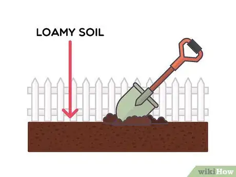 Image titled Plant a Cocktail Garden Step 3