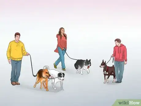 Image titled Walk Two Dogs at the Same Time on Leashes Step 10