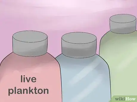 Image titled Breed Hermit Crabs Step 15