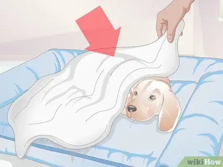 Image titled Care For a Dog with Bad Joints Step 7