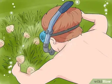 Image titled Go Scalloping Step 6