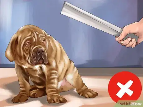 Image titled Housebreak a Dog with Positive Reinforcement Step 14