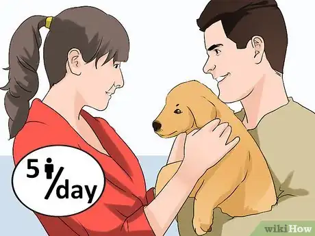 Image titled Socialize a Puppy from a One Pup Litter Step 7