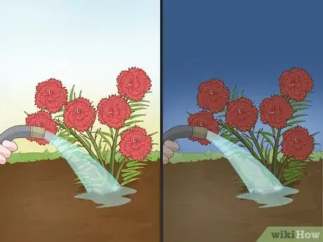 Image titled Water Carnations Step 2