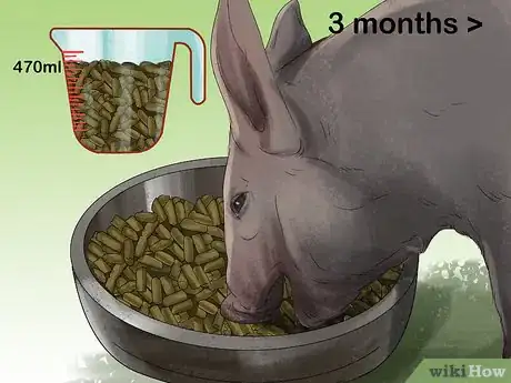 Image titled Have a Potbellied Pig for a Pet Step 13