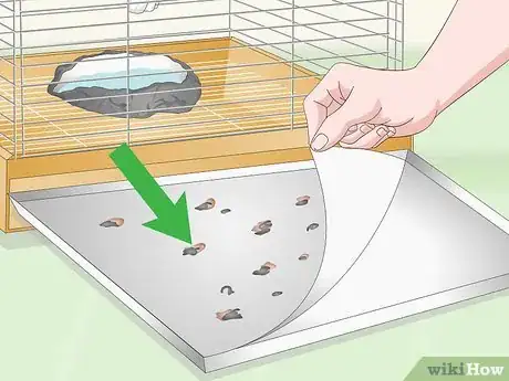 Image titled Choose a Cage for a Cockatoo Step 11