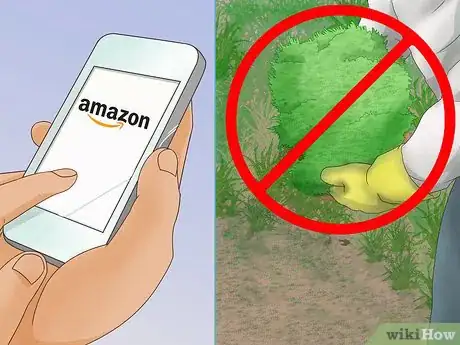 Image titled Make Moss Terrariums Step 5