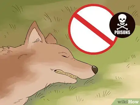 Image titled Survive a Coyote Attack Step 13