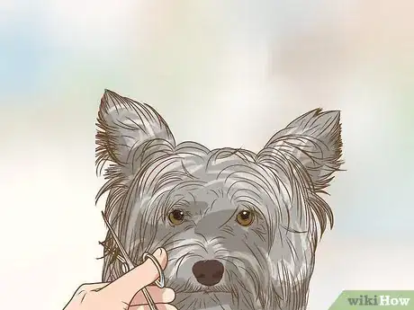 Image titled Reduce Your Exposure to Pollen Step 10