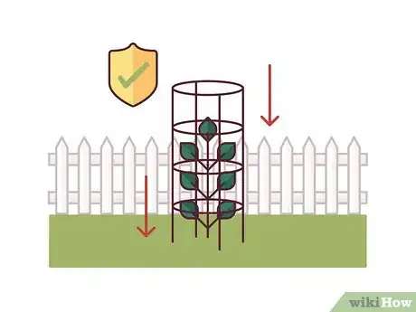 Image titled Stake Tomato Plants Step 12