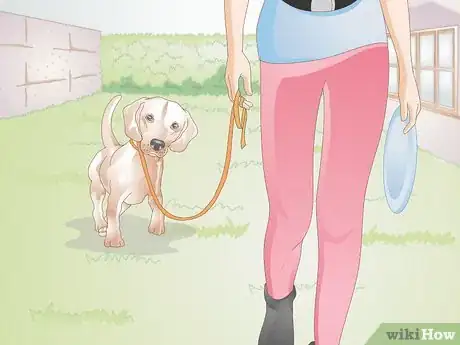 Image titled Care For a Dog with Bad Joints Step 9