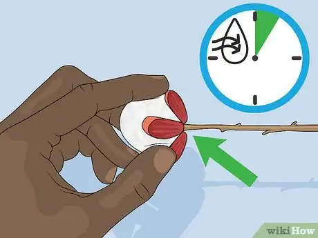 Image titled Make a Cotton Wreath Step 6