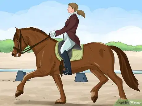 Image titled Canter on a Horse for the First Time Step 2