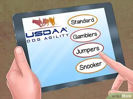 Image titled Enter a Dog in an Agility Trial Step 10