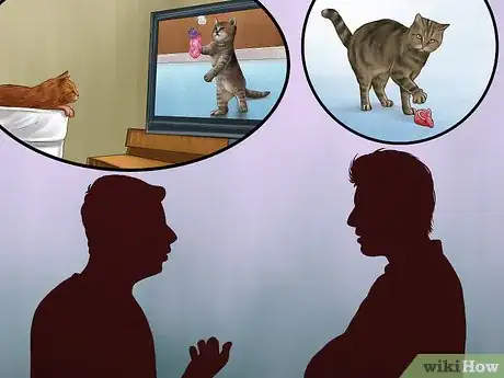 Image titled Find Safe Placement for Your Cat After Foreclosure Step 7