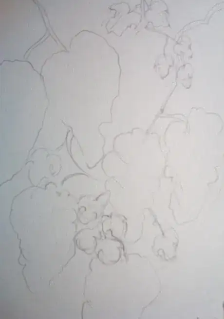 Image titled Drawinggrapes