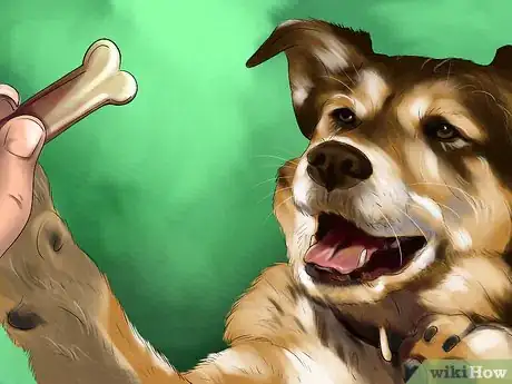 Image titled Housebreak a Dog with Positive Reinforcement Step 13