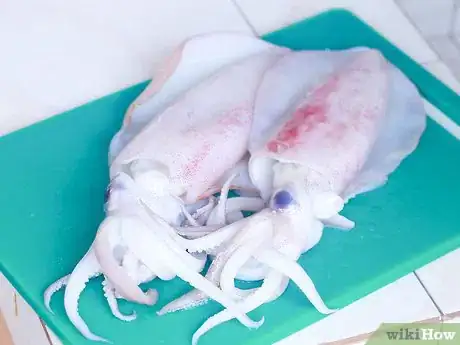 Image titled Cook Squid Step 1