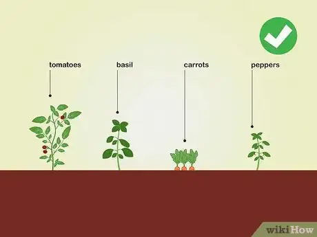 Image titled Choose Vegetables to Grow Step 14