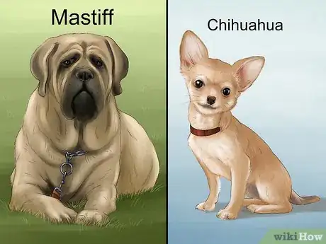 Image titled Know if You Are Ready for a Dog Step 16