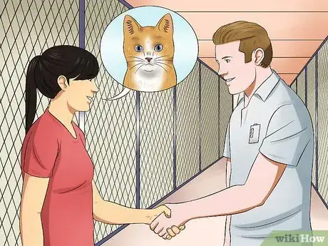 Image titled Have Cats Without Being a Cat Lady Step 2