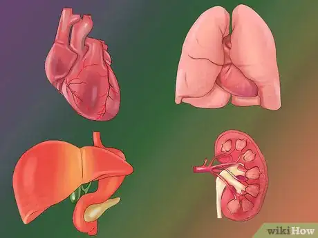 Image titled Spot Signs of Inhalant Abuse Step 10