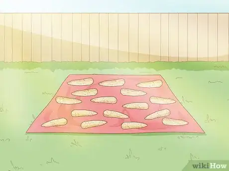 Image titled Grow Loofah Sponges Step 15