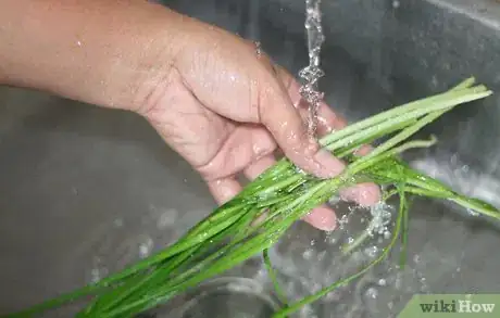 Image titled Freeze Dry Chives Step 2