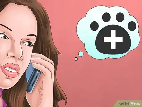 Image titled Keep Ticks from Your Dogs Step 14