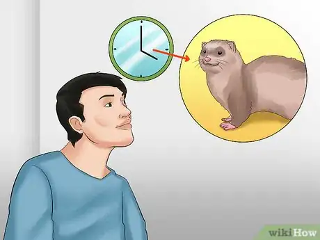 Image titled Decide if a Ferret Is the Right Pet for You Step 1