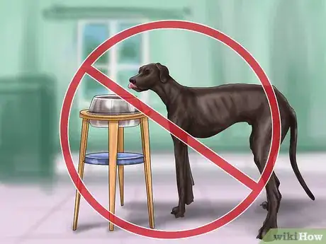 Image titled Treat Bloat in Great Danes Step 9